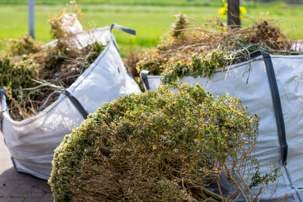 Best Recycling Services for Junk  in Newton, AL